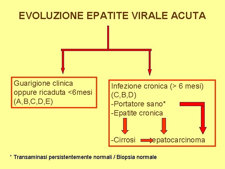 EVOLUZIONE EPATITE VIRALE ACUTA Guarigione clinica oppure ricaduta <6 mesi (A, B, C, D,