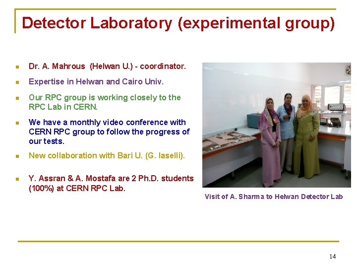 Detector Laboratory (experimental group) n Dr. A. Mahrous (Helwan U. ) - coordinator. n