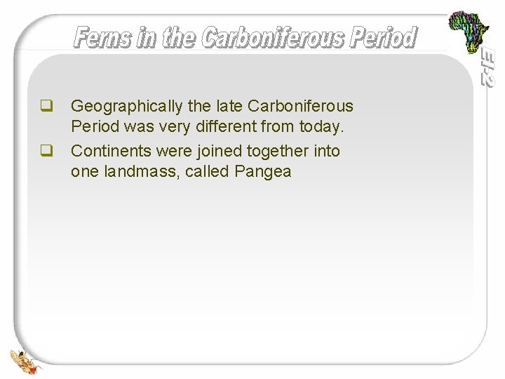 q Geographically the late Carboniferous Period was very different from today. q Continents were