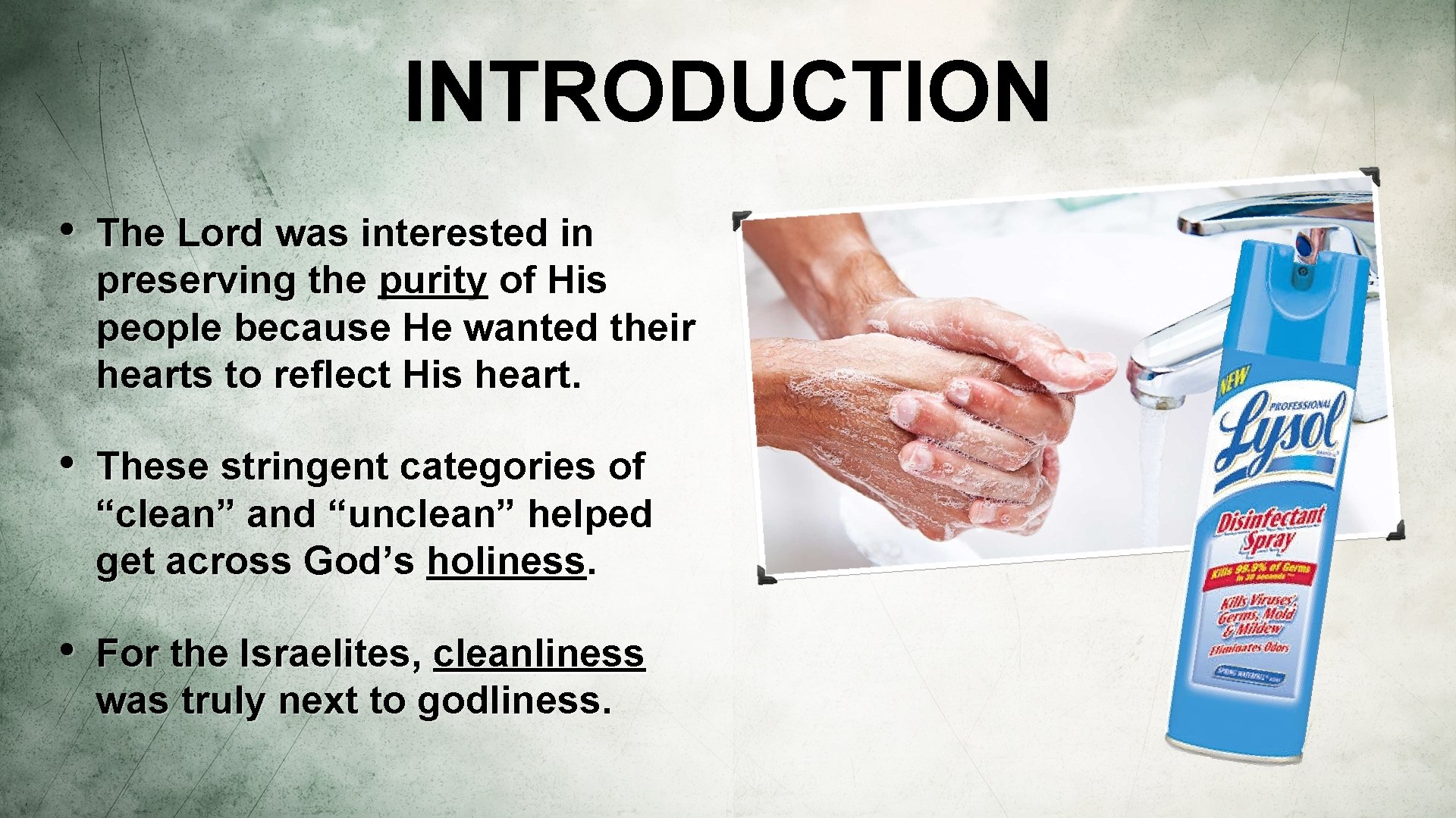 INTRODUCTION • The Lord was interested in preserving the purity of His people because