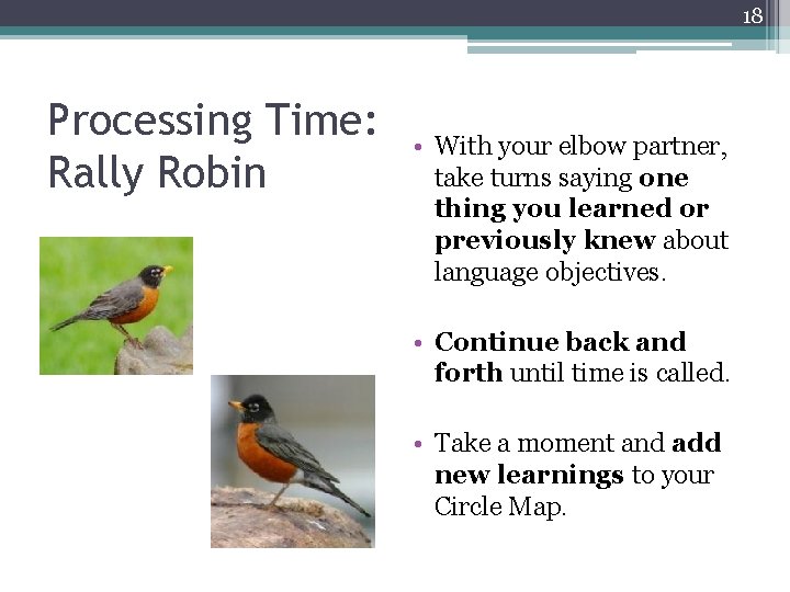 18 Processing Time: Rally Robin • With your elbow partner, take turns saying one