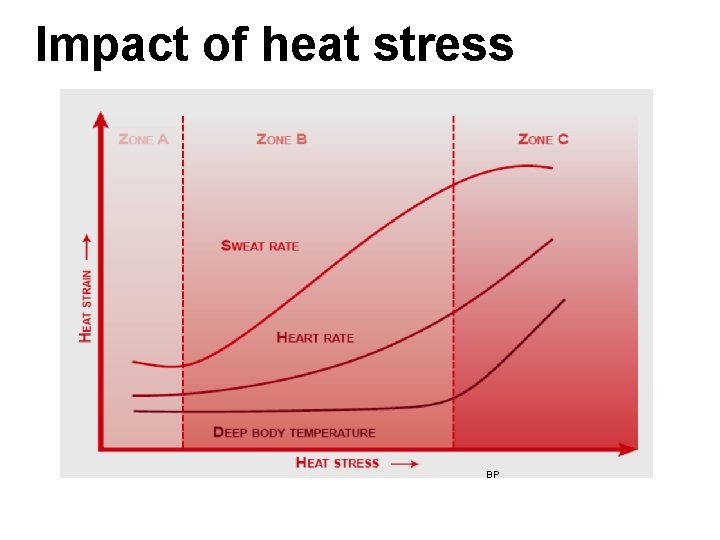 Impact of heat stress BP 