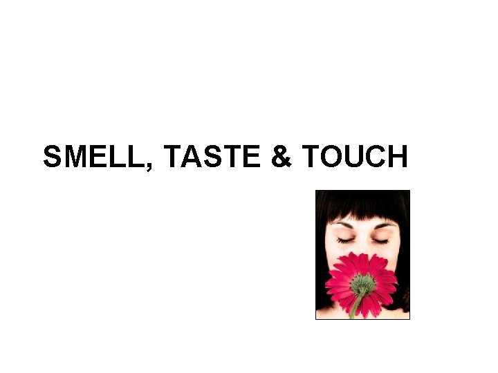 SMELL, TASTE & TOUCH 
