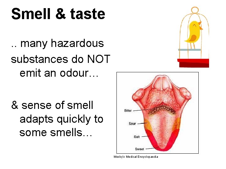 Smell & taste. . many hazardous substances do NOT emit an odour… & sense