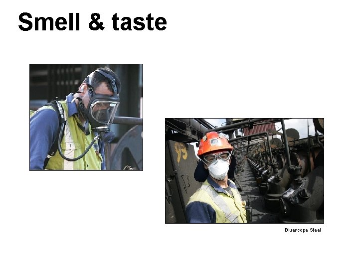 Smell & taste Bluescope Steel 