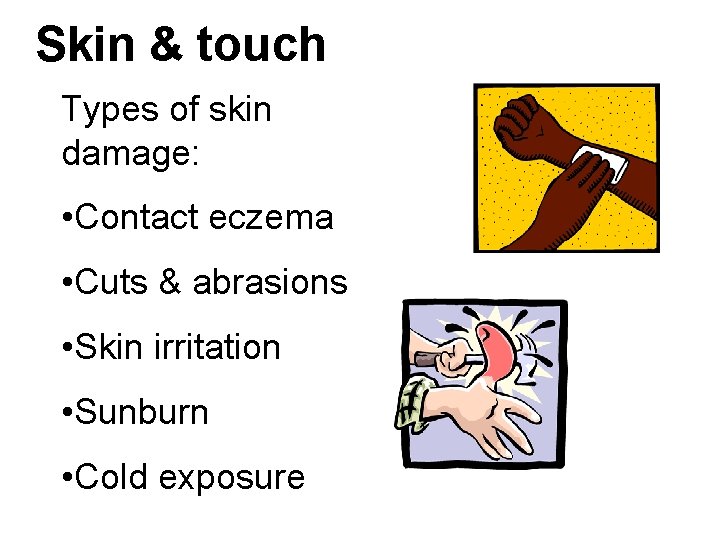 Skin & touch Types of skin damage: • Contact eczema • Cuts & abrasions