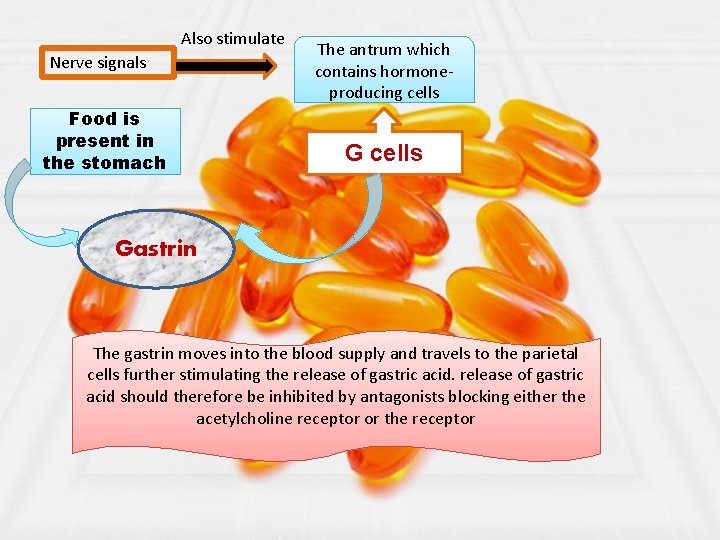 Also stimulate Nerve signals Food is present in the stomach The antrum which contains