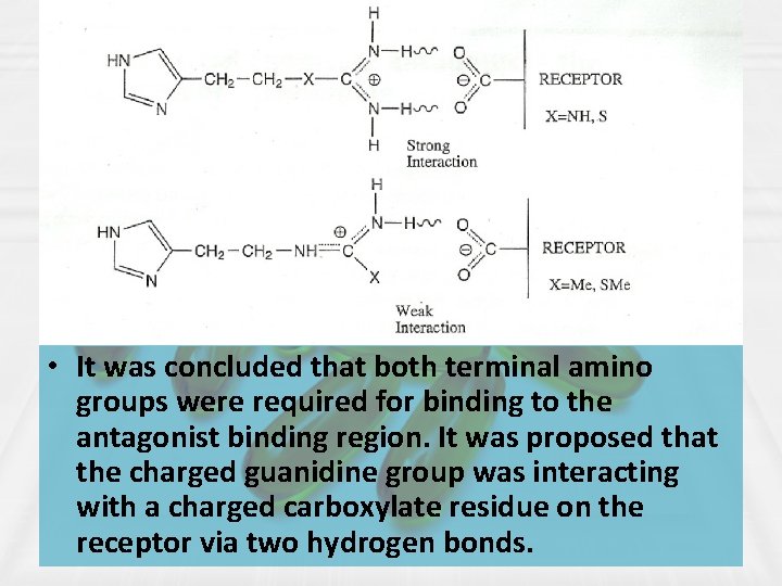  • It was concluded that both terminal amino groups were required for binding