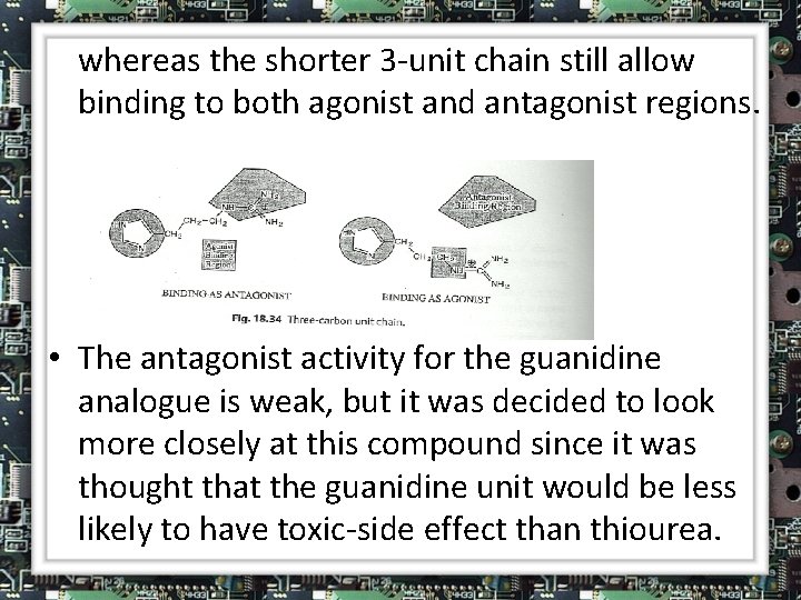 whereas the shorter 3 -unit chain still allow binding to both agonist and antagonist