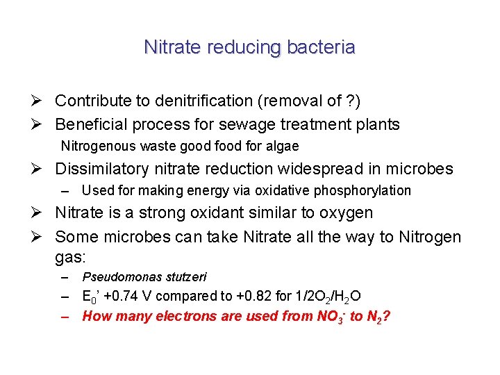 Nitrate reducing bacteria Ø Contribute to denitrification (removal of ? ) Ø Beneficial process