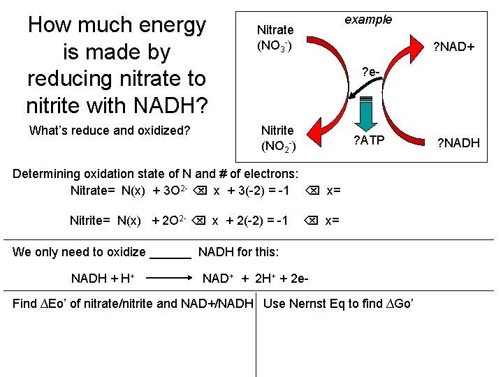 How much energy is made by reducing nitrate to nitrite with NADH? What’s reduce