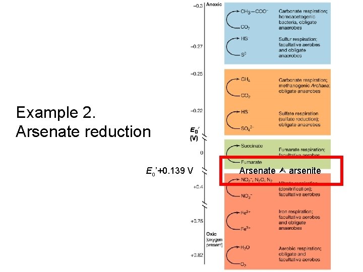 Example 2. Arsenate reduction Eo’+0. 139 V Arsenate arsenite 