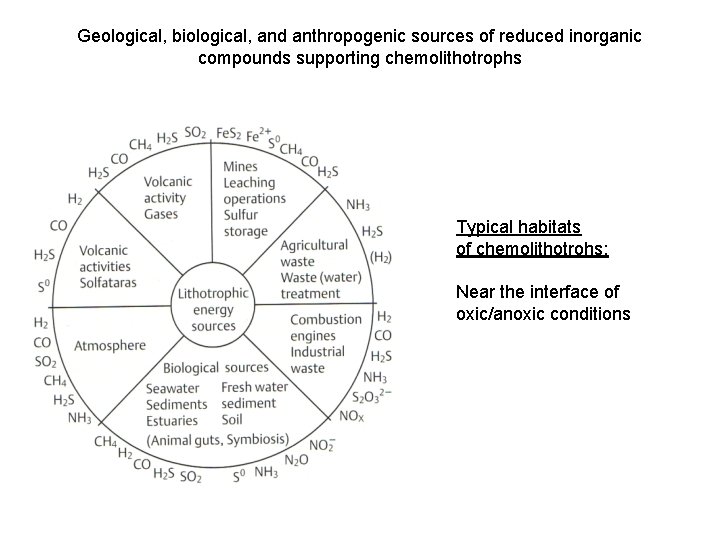 Geological, biological, and anthropogenic sources of reduced inorganic compounds supporting chemolithotrophs Typical habitats of