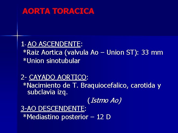 AORTA TORACICA 1 - AO ASCENDENTE: *Raiz Aortica (valvula Ao – Union ST): 33