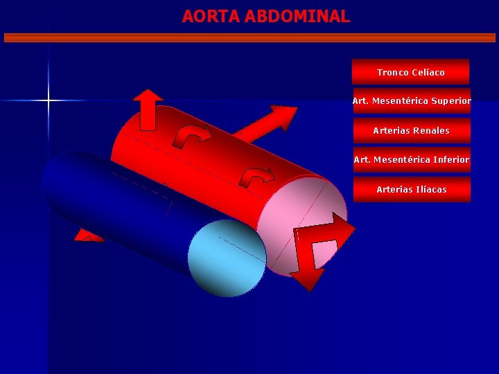 AORTA ABDOMINAL Tronco Celíaco Art. Mesentérica Superior Arterias Renales Art. Mesentérica Inferior Arterias Ilíacas