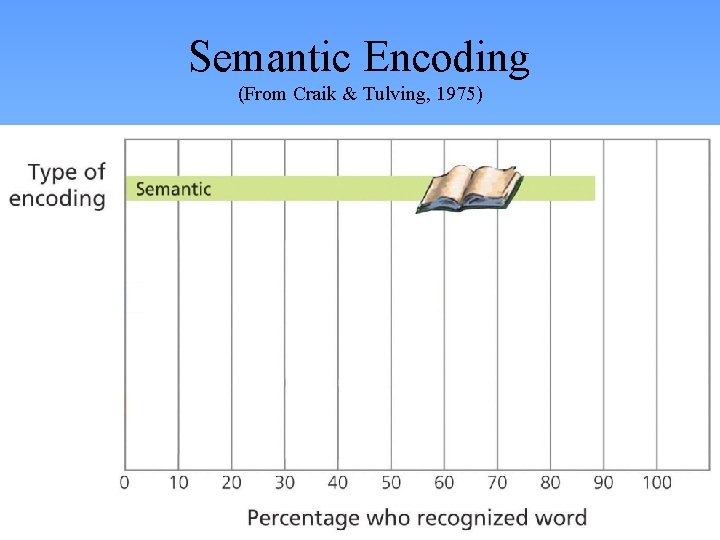 Semantic Encoding (From Craik & Tulving, 1975) 