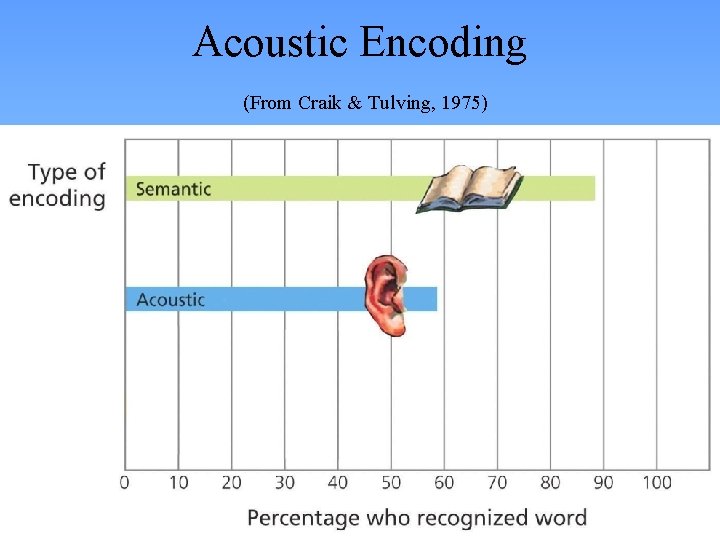 Acoustic Encoding (From Craik & Tulving, 1975) 