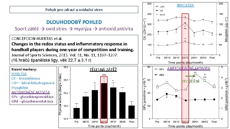 Pohyb pro zdraví a oxidační stres MYOLÝZA DLOUHODOBÝ POHLED Sport. zátěž → oxid. stres