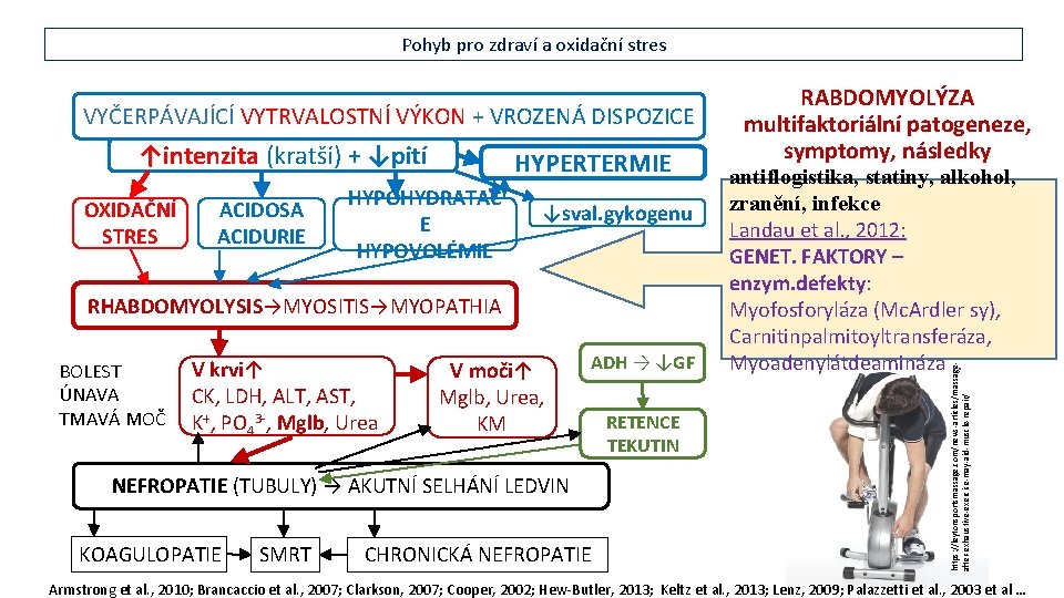 Pohyb pro zdraví a oxidační stres ↑intenzita (kratší) + ↓pití OXIDAČNÍ STRES ACIDOSA ACIDURIE