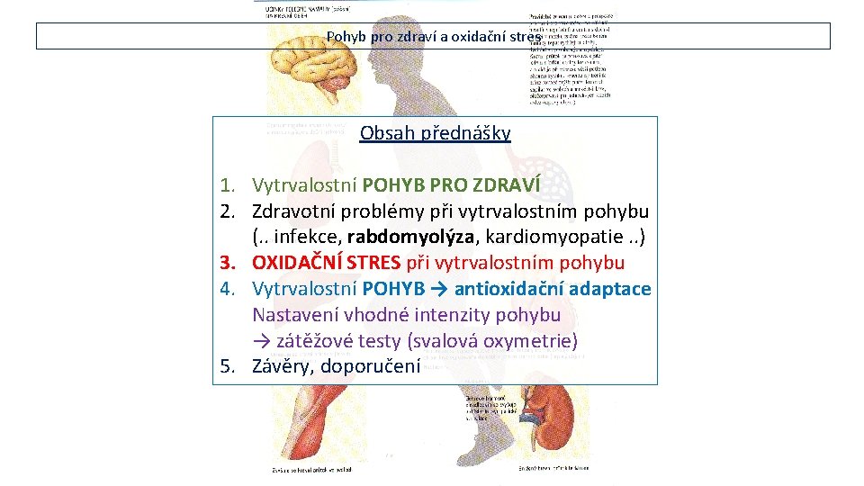 Pohyb pro zdraví a oxidační stres Obsah přednášky 1. Vytrvalostní POHYB PRO ZDRAVÍ 2.