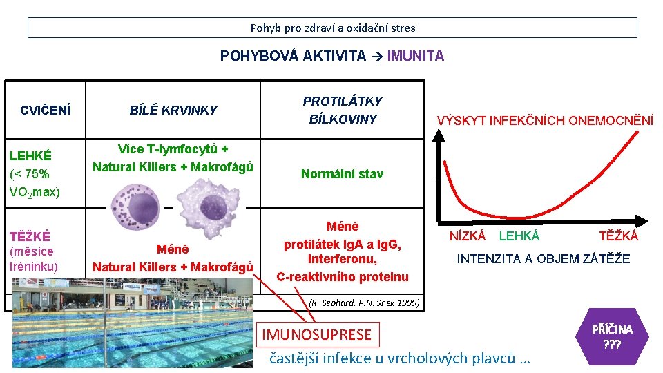 Pohyb pro zdraví a oxidační stres POHYBOVÁ AKTIVITA → IMUNITA CVIČENÍ LEHKÉ (< 75%