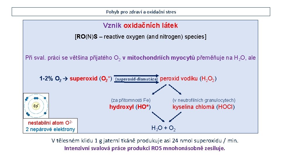 Pohyb pro zdraví a oxidační stres Vznik oxidačních látek [RO(N)S – reactive oxygen (and