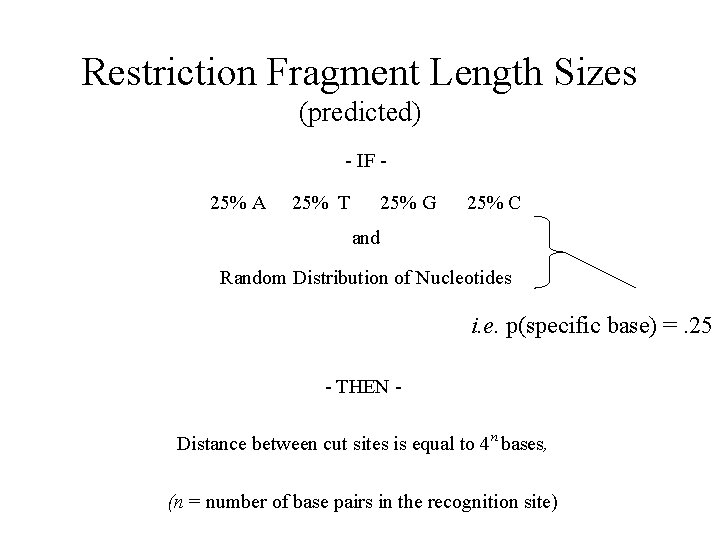 Restriction Fragment Length Sizes (predicted) - IF 25% A 25% T 25% G 25%