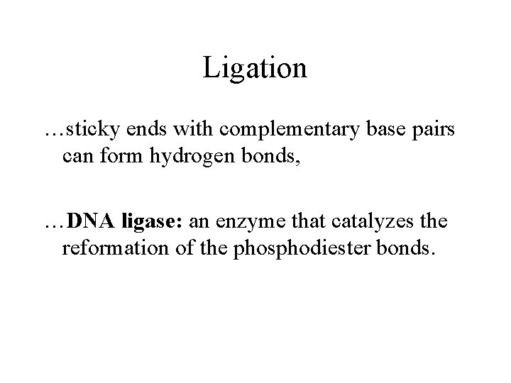 Ligation …sticky ends with complementary base pairs can form hydrogen bonds, …DNA ligase: an