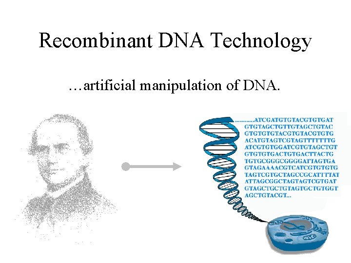 Recombinant DNA Technology …artificial manipulation of DNA. 