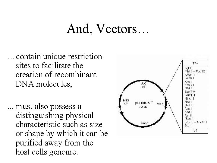 And, Vectors… …contain unique restriction sites to facilitate the creation of recombinant DNA molecules,