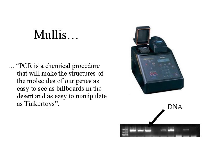 Mullis…. . . “PCR is a chemical procedure that will make the structures of