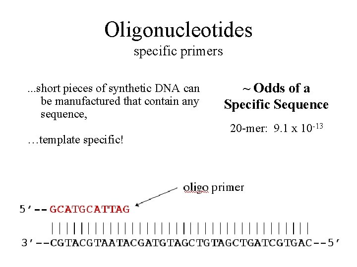 Oligonucleotides specific primers. . . short pieces of synthetic DNA can be manufactured that