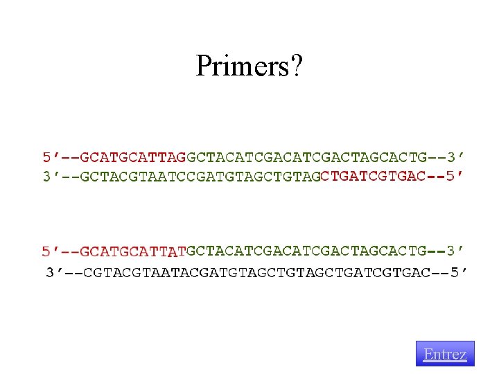 Primers? Entrez 