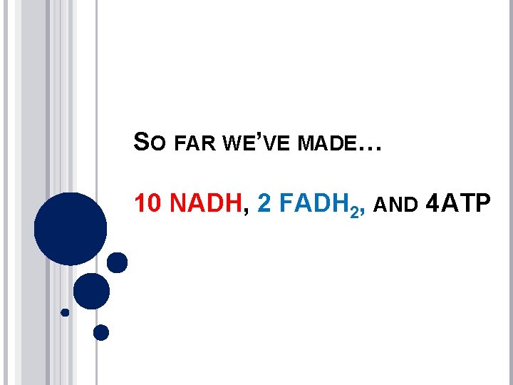 SO FAR WE’VE MADE… 10 NADH, 2 FADH 2, AND 4 ATP 