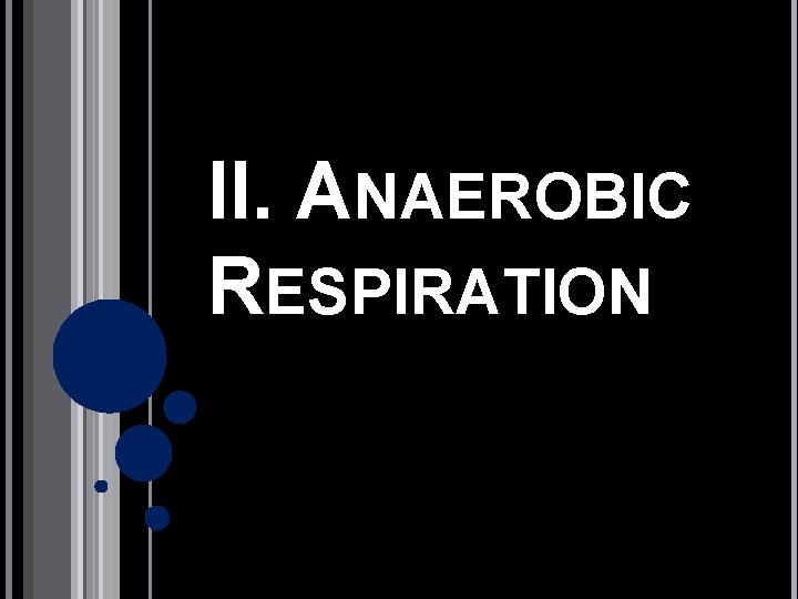 II. ANAEROBIC RESPIRATION 