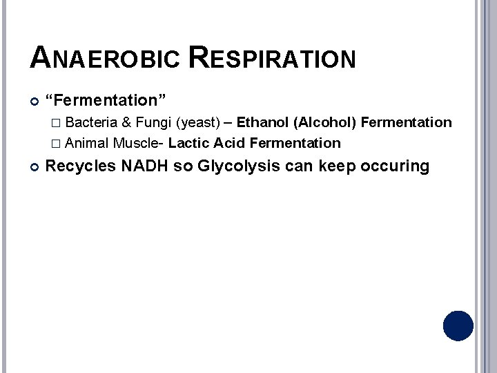 ANAEROBIC RESPIRATION “Fermentation” � Bacteria & Fungi (yeast) – Ethanol (Alcohol) Fermentation � Animal