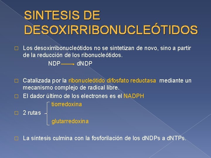 SINTESIS DE DESOXIRRIBONUCLEÓTIDOS � Los desoxirribonucleótidos no se sintetizan de novo, sino a partir