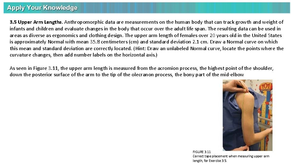 3. 5 Upper Arm Lengths. Anthropomorphic data are measurements on the human body that 3. 5 Upper Arm Lengths. Anthropomorphic data are measurements on the human body that