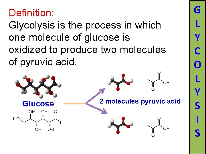 Definition: Glycolysis is the process in which one molecule of glucose is oxidized to