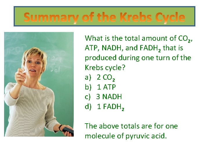 What is the total amount of CO 2, ATP, NADH, and FADH 2 that