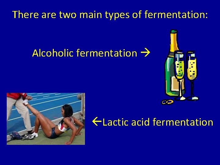 There are two main types of fermentation: Alcoholic fermentation Lactic acid fermentation 