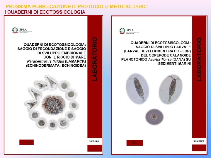 PROSSIMA PUBBLICAZIONE DI PROTOCOLLI METODOLOGICI: I QUADERNI DI ECOTOSSICOLOGIA 