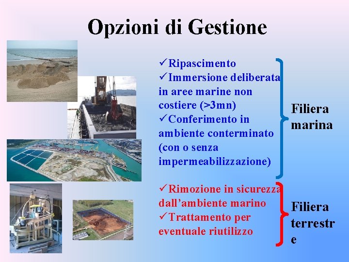 Opzioni di Gestione üRipascimento üImmersione deliberata in aree marine non costiere (>3 mn) Filiera