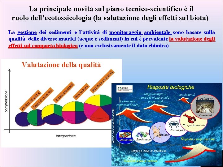 La principale novità sul piano tecnico-scientifico è il ruolo dell’ecotossicologia (la valutazione degli effetti