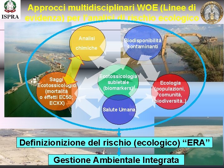 Approcci multidisciplinari WOE (Linee di evidenza) per l’analisi di rischio ecologico Analisi chimiche Saggi