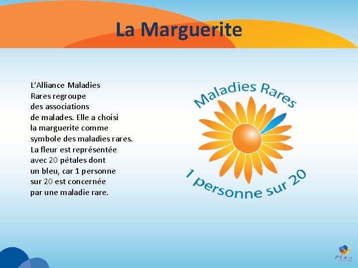 La Marguerite L’Alliance Maladies Rares regroupe des associations de malades. Elle a choisi la La Marguerite L’Alliance Maladies Rares regroupe des associations de malades. Elle a choisi la