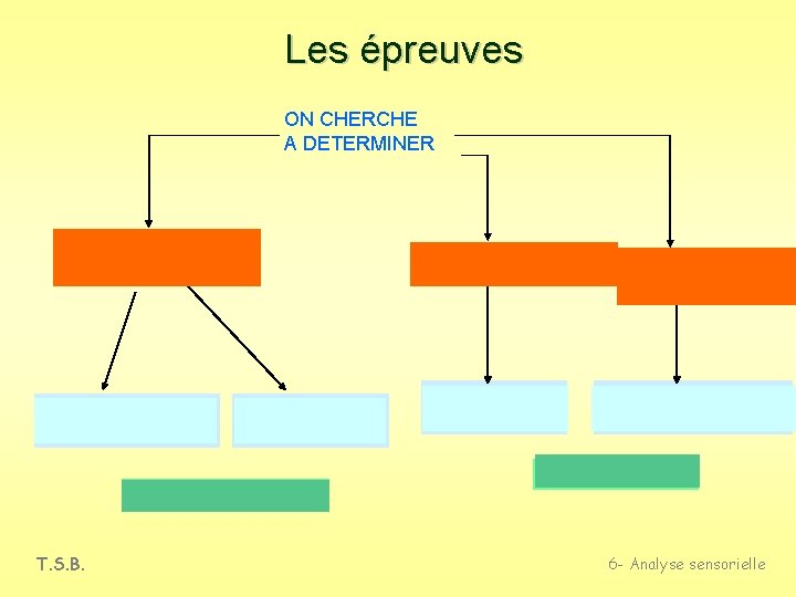 Les épreuves ON CHERCHE A DETERMINER DES DIFFERENCES EPREUVES DISCRIMINATIVES EPREUVES DESCRIPTIVES SUJETS ENTRAINES