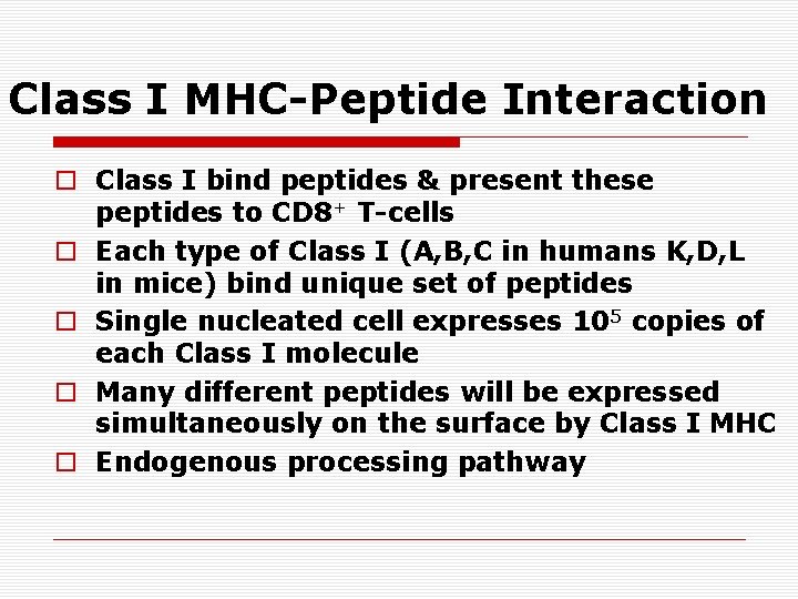 Class I MHC-Peptide Interaction o Class I bind peptides & present these peptides to