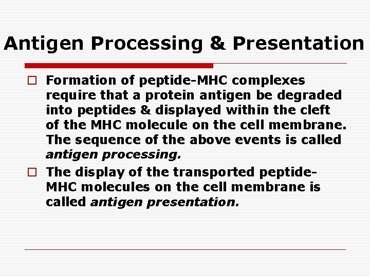 Antigen Processing & Presentation o Formation of peptide-MHC complexes require that a protein antigen