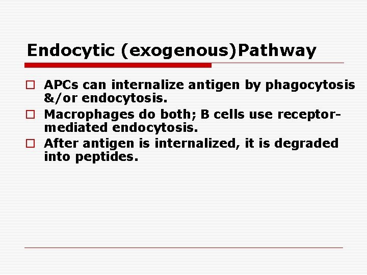 Endocytic (exogenous)Pathway o APCs can internalize antigen by phagocytosis &/or endocytosis. o Macrophages do